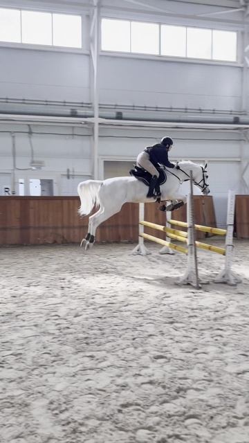 Анастасия Макарова и ее тренер Екатерина Шатохина на лошади по кличке Грей-молодцы девчата!