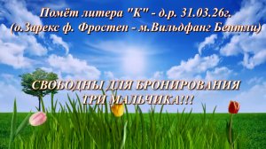 Помёт литера (К)