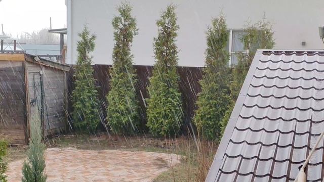 Первый ливень с громом и молнией