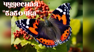 Подарок от Оли.  "Бабочка" от Diamond Dotz.