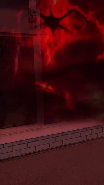 груминг салон в Твери