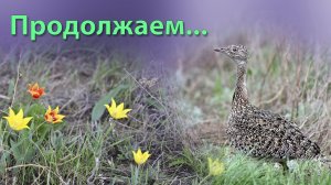 Продолжаем...