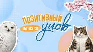 Цветущая сакура в Краснодаре и полярный день в Норвегии. "Позитивный улов"