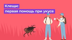 Клещи: первая помощь при укусе