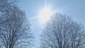 Будни на хуторе Впихнуть невпихуемое в теплицу