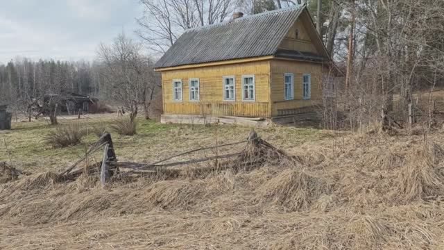 Уй 170.000 руб, 2.000 $, Қўшнилари Абдимўмин, Хамза, Бобир акалар, Великие Луки район, Псков обл.