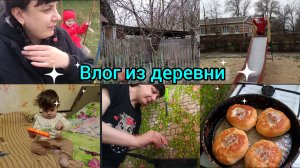Влог из деревни. Где мы раньше жили. Расстроилась.