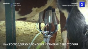 Как господдержка помогает севастопольским фермерам