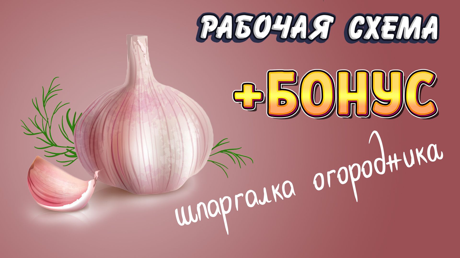 ЧЕСНОК. Полный цикл: от посева до сбора урожая и способа хранения. Все тонкости и секреты / Культуры