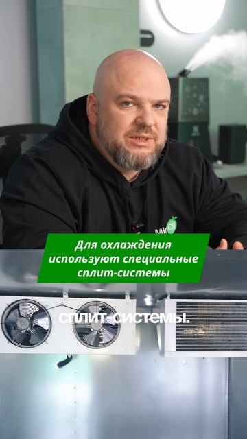 Хранение цветов: какой кондиционер выбрать? 