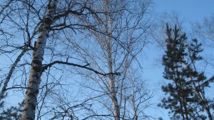 Наша очередная прогулка