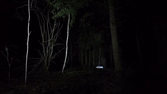 Сотрудники ФСБ предотвратили теракт на одном из предприятий в Подмосковье