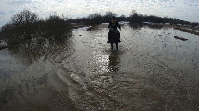 Разлив реки 2026