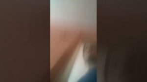 Отвечаю на вопросы