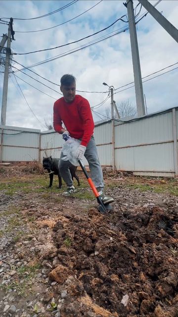 Всех с 1 апреля и я открываю сезон очередных субботников!) По чуть - чуть 🤏 будем приводить всё в по