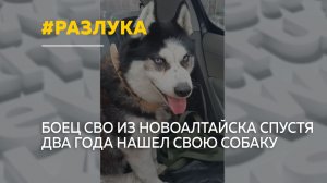 Спустя два года разлуки: боец СВО нашел свою собаку в приюте
