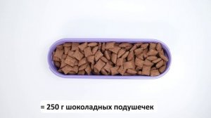 Супер-овальные компактусы для идеального хранения