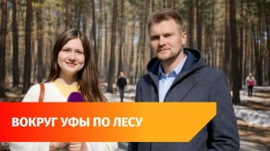 По Уфимскому ожерелью пройдет марафон «Городская ультра»