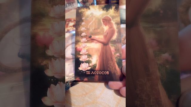 🌎❤️🐬Таро 3:13📚общий❄️🐉🌻