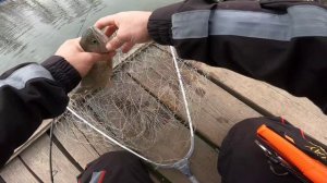 РЫБАЛКА В МАРТЕ. ЛОВЛЯ ФАРЕЛИ. РК БЕЛАЯ ДАЧА. #NEKFISH