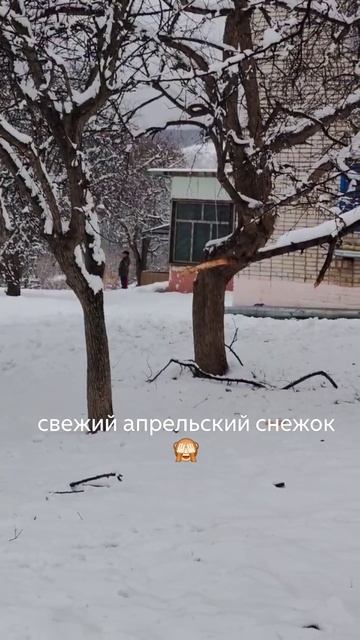 Сразу крышу дома стали чистить, снег мокрый, тяжёлый