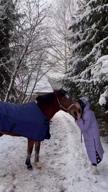 Безграничная моя #equestrian #equestrianlife #конныйблог #конныйспорт #конкур #выездка #лошадки