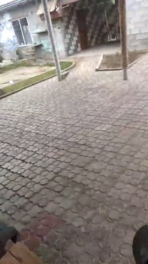 ау у-у-у у-у-у 🐺