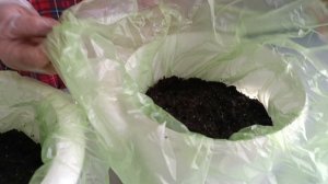 1.04.26. Сею огурцы для раннего урожая. 🥒🥒🥒