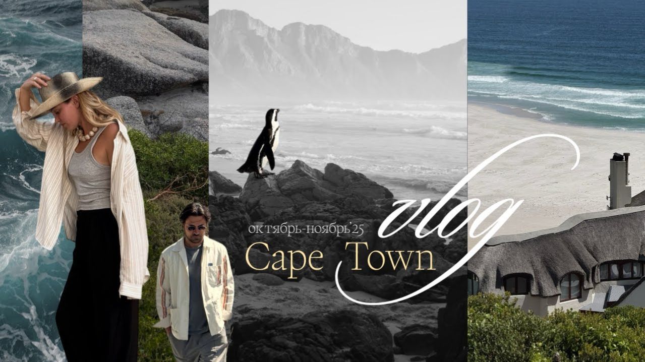 ЮАР, Кейптаун влог: город, пляжи, местные обитатели и винные долины