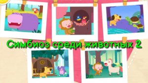 Игра "BabyBus. Симбиоз среди животных 2" Детская познавательная игра.