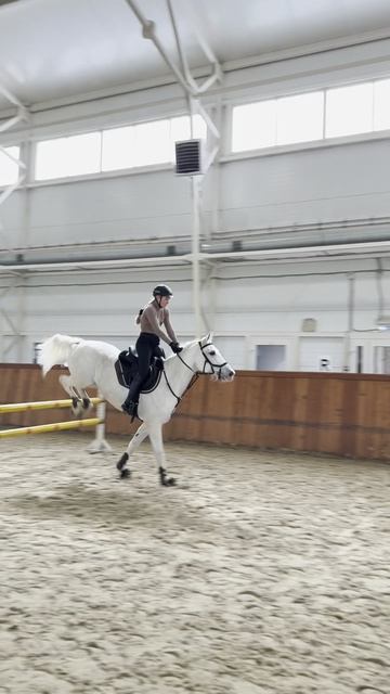 Анастасия Макарова и ее тренер Екатерина Шатохина на лошади по кличке Грей-молодцы девчата!