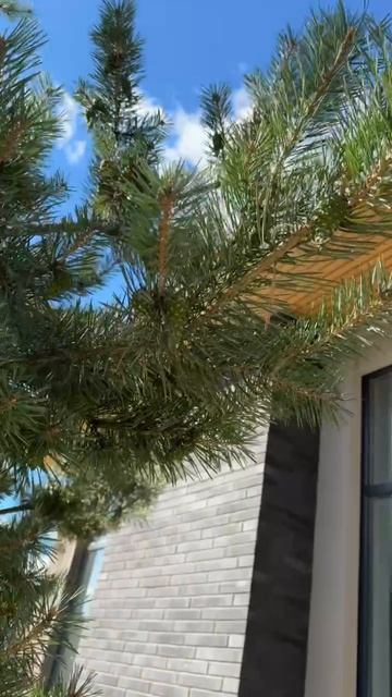 Приезжайте на просмотр в наш посёлок Hillside и сами всё ощутите.