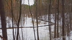 2026/3/26: Звон колокола собора Серафима Саровского, как он слышен у низовьев Профилакторского ручья