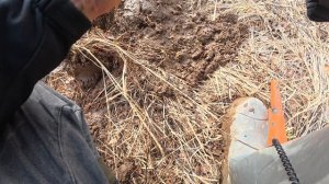 Коп 1 апреля, сокровища старой дороги.