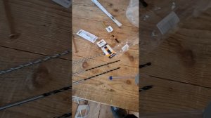 1000054415.mp4 (Собака наблюдает за устройством лестницы на 2-ой этаж в доме А-фрейм)