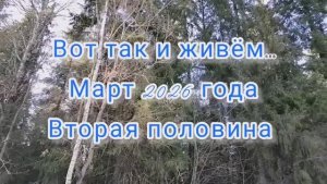 Вот так и живём... Март 2026 года. Вторая половина