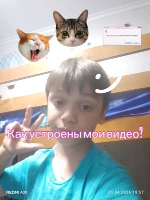 Как устроены мои видео?