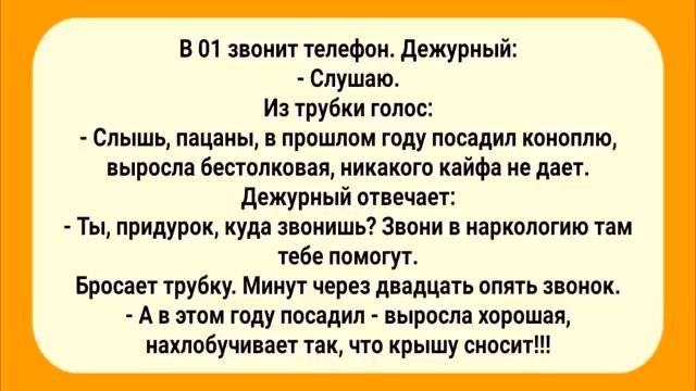 Веселые_Анекдоты_для_Настроения!_Юмор_и_Позитив!