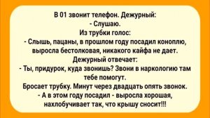 Веселые_Анекдоты_для_Настроения!_Юмор_и_Позитив!