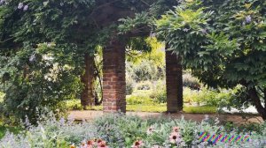 ПРОДОЛЖАЕМ ЖИТЬ автор слов Николай Саллас  музыка исполняет ИИ