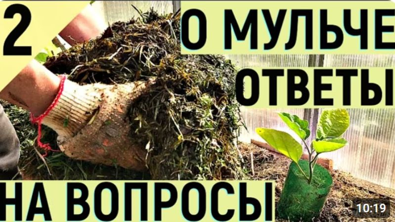 АКТИВНАЯ МУЛЬЧА КАК ПОВЫСИТЬ ПЛОДОРОДИЕ часть2.