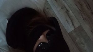 VID_2026_04_01_18_39_54_5628394869619031284744