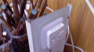 Виноград Красноярска. Сергей Будрис.8-902-980-79-86.