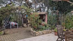 21 и 25 марта 2026.Теплица.Клумба под клубнику  Розы из питомника Мейяна- просто трэш!