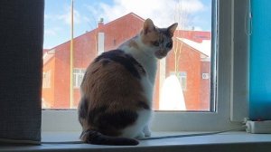 Путешествовать по фото...