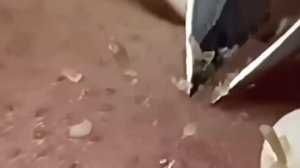 #222 Чистка лица от угрей и акне. Выдавливание прыщей. Удаление черных точек и комедонов