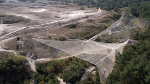 С Международным днем птиц