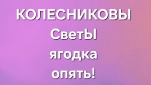 Колесниковы/Обзор.
