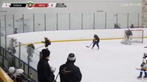 1 апреля день без комментатора