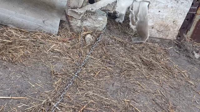 На улице дождь но настроение хорошее